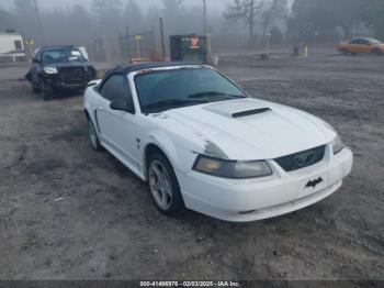  Salvage Ford Mustang