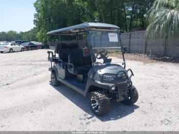  Salvage Royal Golf Cart
