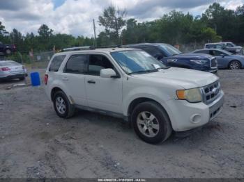  Salvage Ford Escape