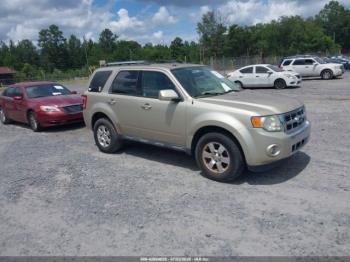  Salvage Ford Escape