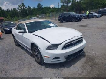  Salvage Ford Mustang