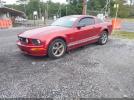 Ford Mustang Gt Image 3
