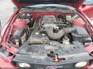 Ford Mustang Gt Image 6