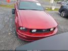 Ford Mustang Gt Image 7