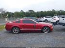 Ford Mustang Gt Image 11