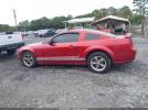Ford Mustang Gt Image 12