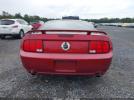 Ford Mustang Gt Image 13
