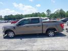 Ford F-150 Xl Image 3