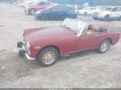 Mg Midget Image 2