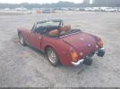 Mg Midget Image 6