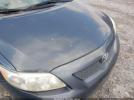 Toyota Corolla Le Image 6