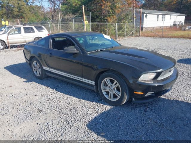 Ford Mustang V6 Image 1