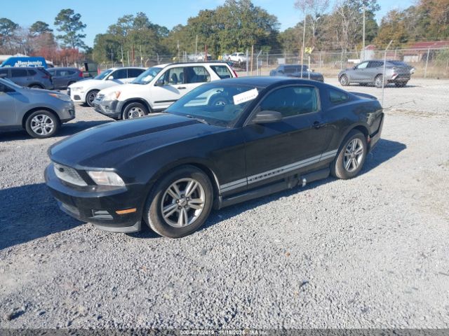 Ford Mustang V6 Image 5