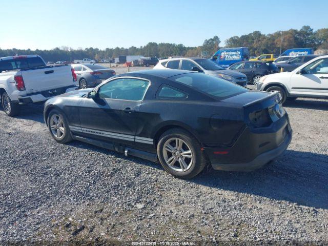 Ford Mustang V6 Image 2