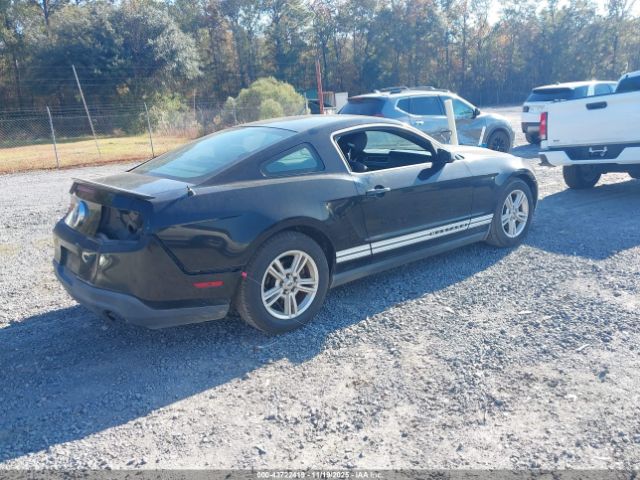 Ford Mustang V6 Image 3