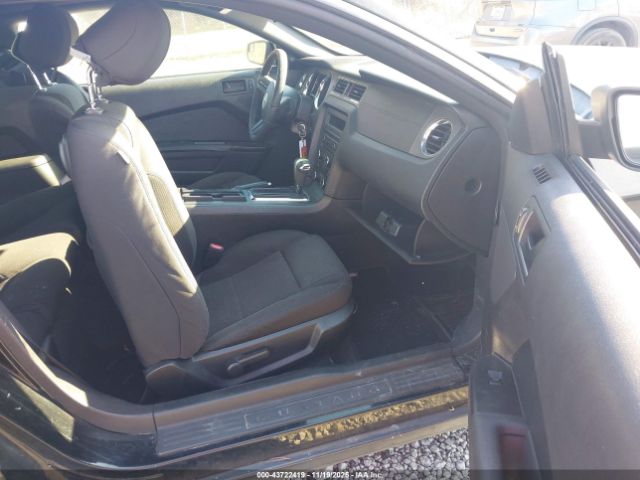 Ford Mustang V6 Image 14