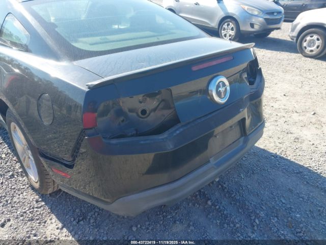 Ford Mustang V6 Image 6