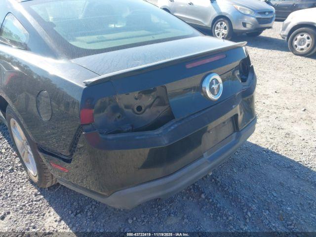 Ford Mustang V6 Image 6