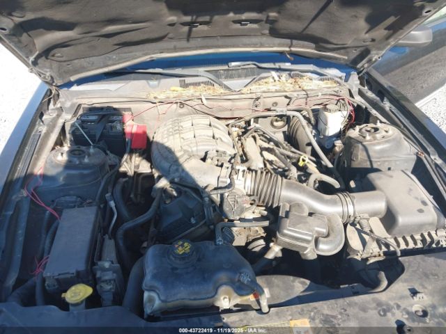 Ford Mustang V6 Image 12