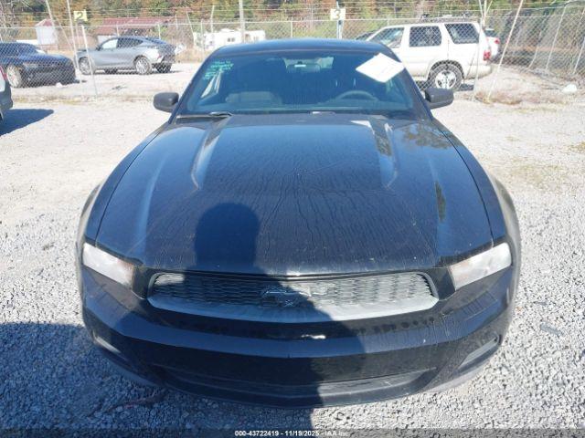 Ford Mustang V6 Image 10