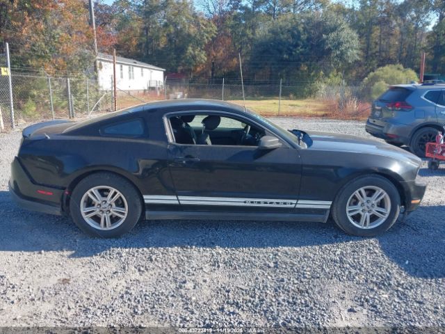 Ford Mustang V6 Image 9