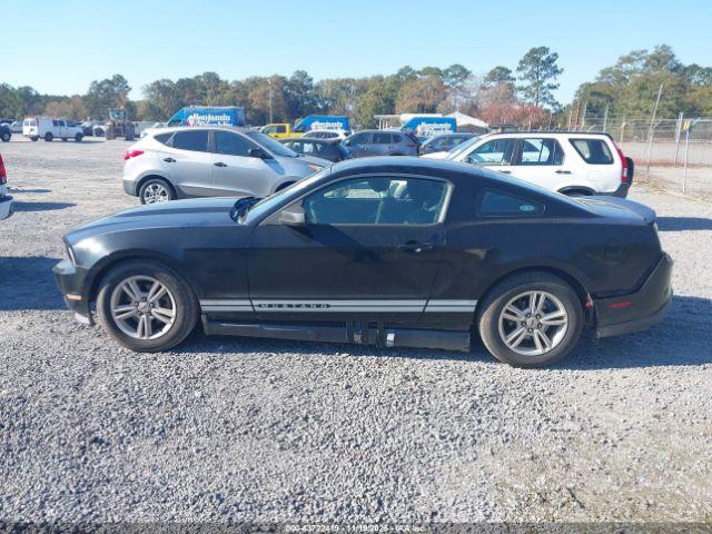 Ford Mustang V6 Image 15