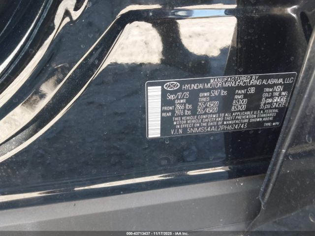 Hyundai SANTA FE Calligraphy Image 9