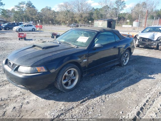 Ford Mustang Gt Image 9